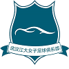 主队图片