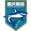 主队图片